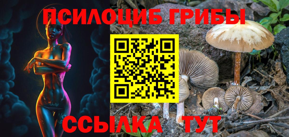 Галлюциногенные грибы Cubensis  Вход с VPN  Псилоцибиновые грибы GOLDEN TEACHER  Лениногорск 